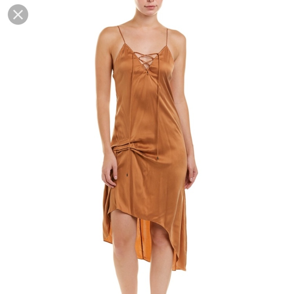 NWT Haute Hippie Edith silk dress
